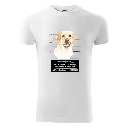 Lump a darebák labrador