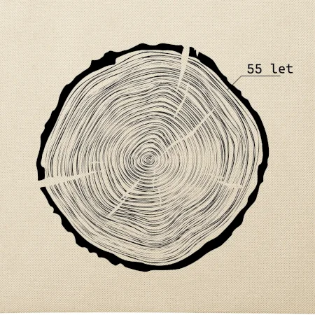 Letokruhy - 55