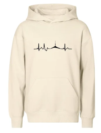 Ekg Jeseníky
