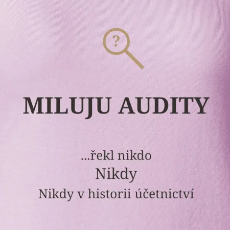 Miluju audity řekl nikdo nikdy