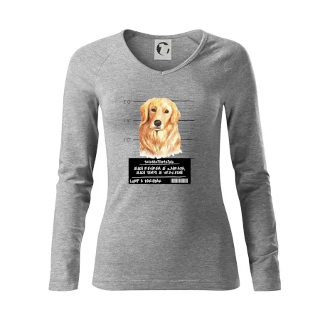 Lump a darebák zlatý retrívr