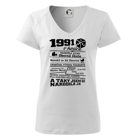 1991 v kostce