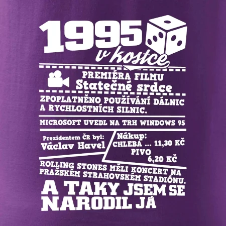 1995 v kostce