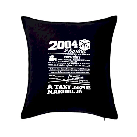 2004 v kostce