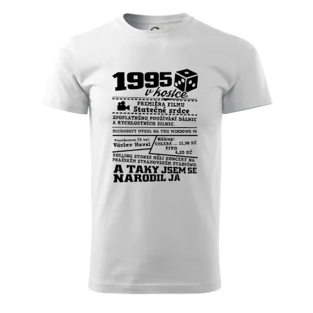 1995 v kostce