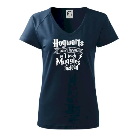 Harry - Hogwarts wasn’t hiring, so I teach Muggles instead