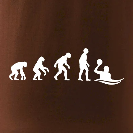 Evoluce Vodní pólo