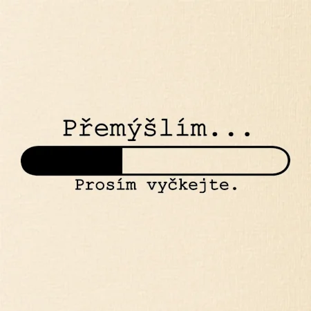 Přemýšlím