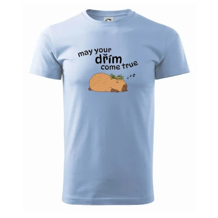May your dřím come true
