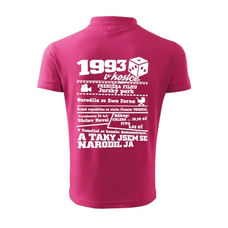 1993 v kostce