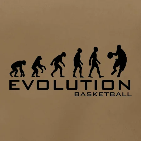 Evoluce Basketball
