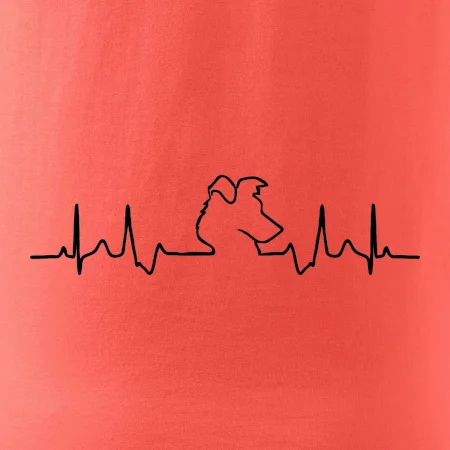 Border kolie EKG
