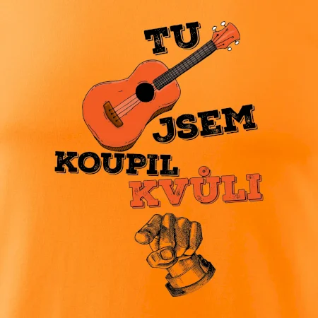 Tu kytaru jsem koupil kvůli tobě