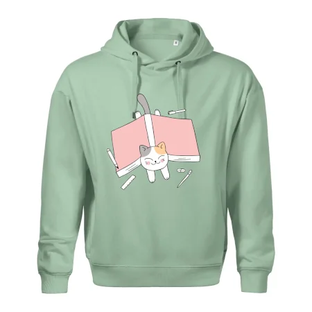 Učení na státnice kočka