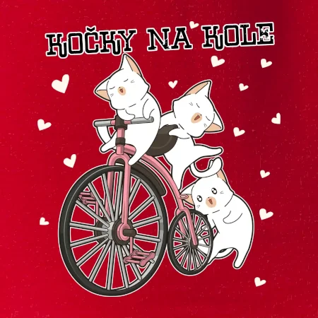 Kočky na kole