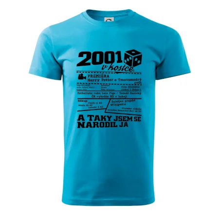 2001 v kostce