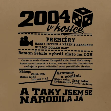2004 v kostce