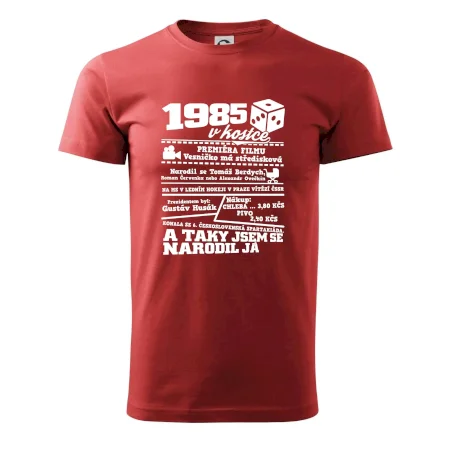 1985 v kostce