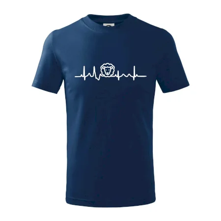 Ekg ovce