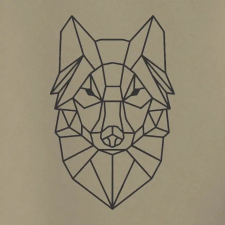 Geometrie - vlk