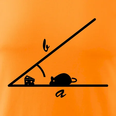 Matematická myš