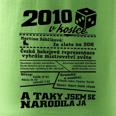 2010 v kostce