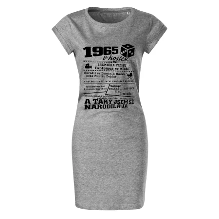 1965 v kostce