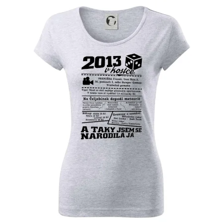 2013 v kostce