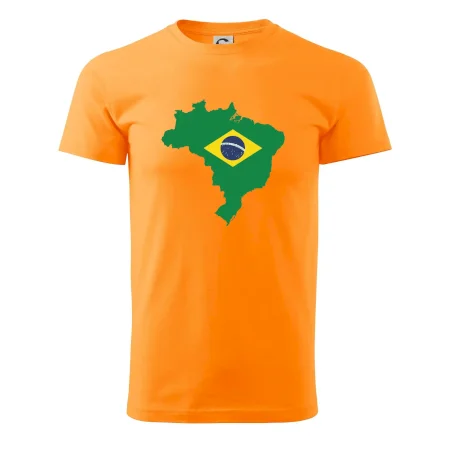 Brazílie vlajka v mapě