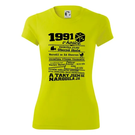 1991 v kostce