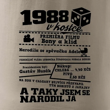 1988 v kostce