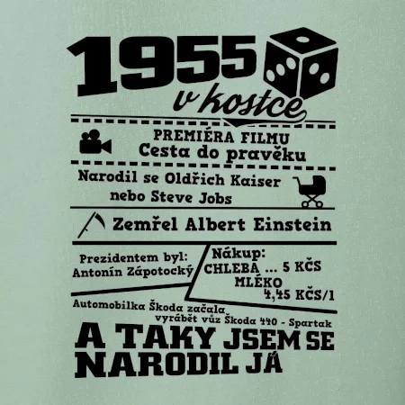 1955 v kostce
