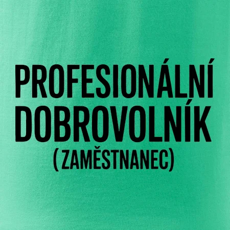 PROFESIONÁLNÍ DOBROVOLNÍK (zaměstnanec)