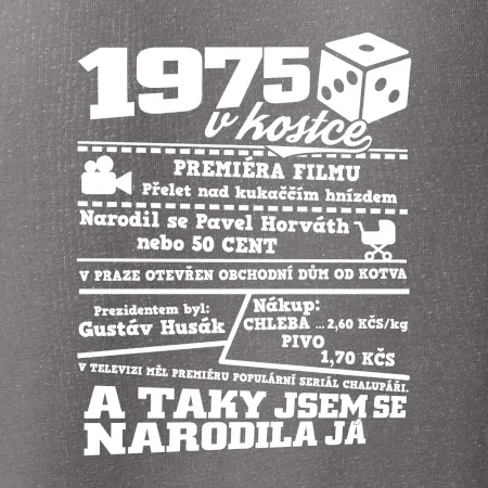 1975 v kostce