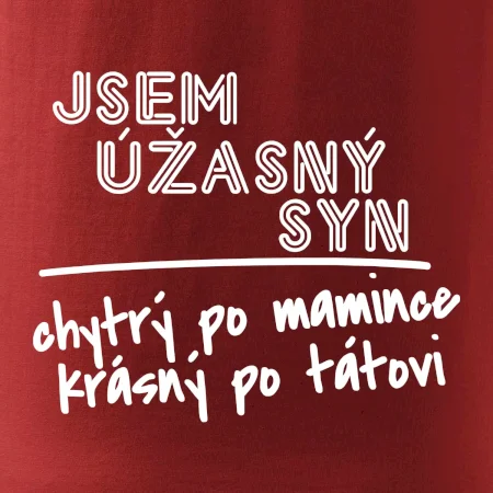 Jsem úžasný syn