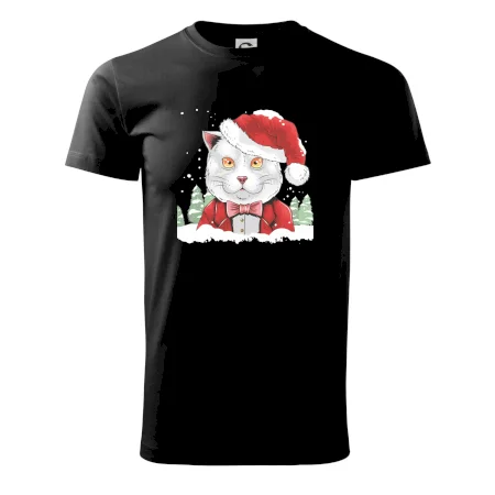 Santa kocour