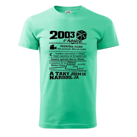 2003 v kostce