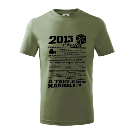 2013 v kostce