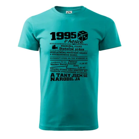 1995 v kostce