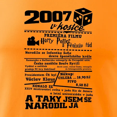 2007 v kostce