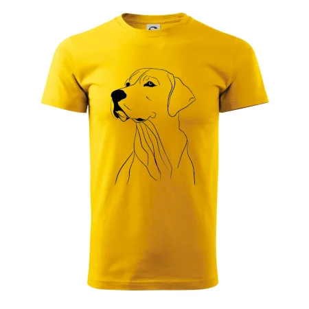 Labrador černá kresba