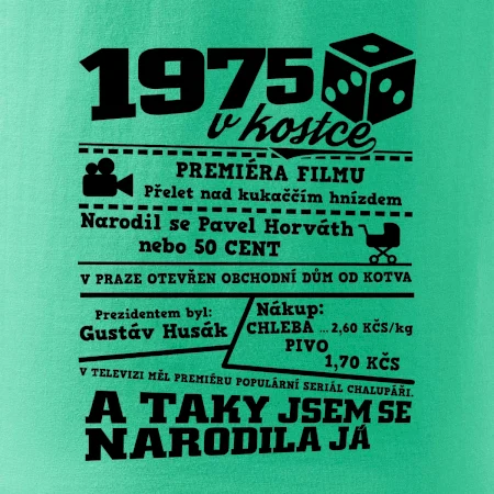 1975 v kostce