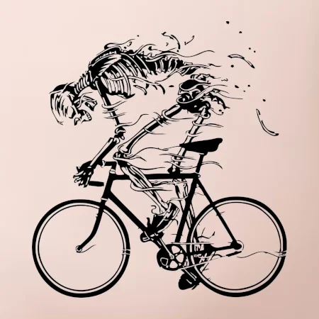 Cyklo kostra