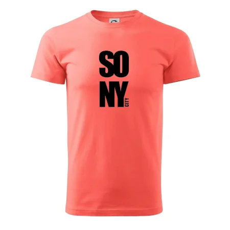 SO NY city