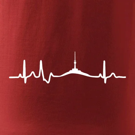 Ekg Jeseníky