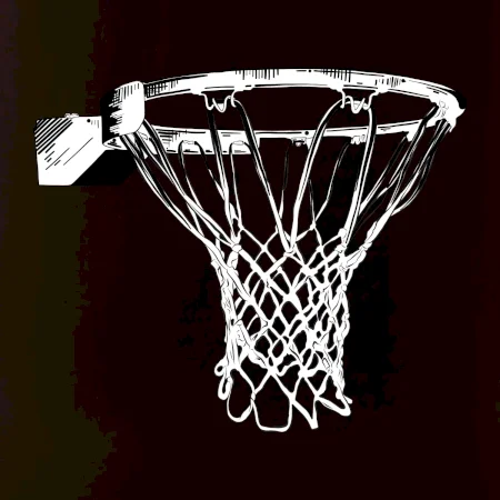 Basketbalový koš