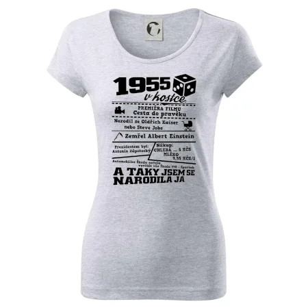 1955 v kostce