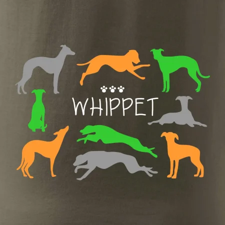 Whippet barevný