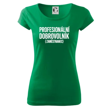 PROFESIONÁLNÍ DOBROVOLNÍK (zaměstnanec)