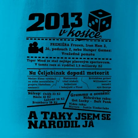 2013 v kostce